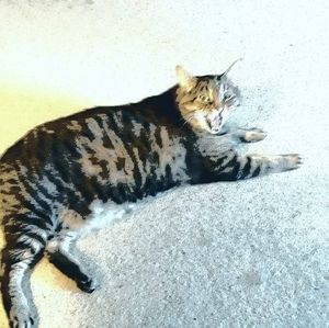 Meet your Posher, Barbara